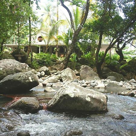 Citrus Creek Plantation Villa La Plaine Luaran gambar
