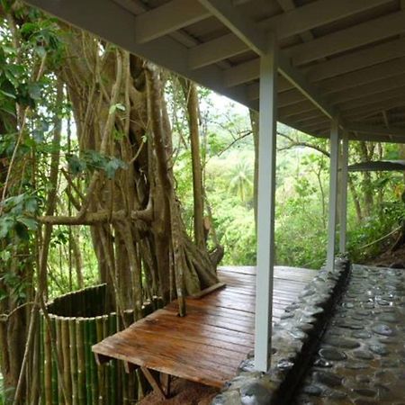 Citrus Creek Plantation Villa La Plaine Luaran gambar