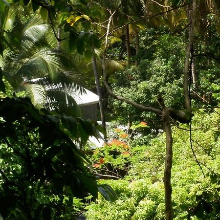 Citrus Creek Plantation Villa La Plaine Luaran gambar