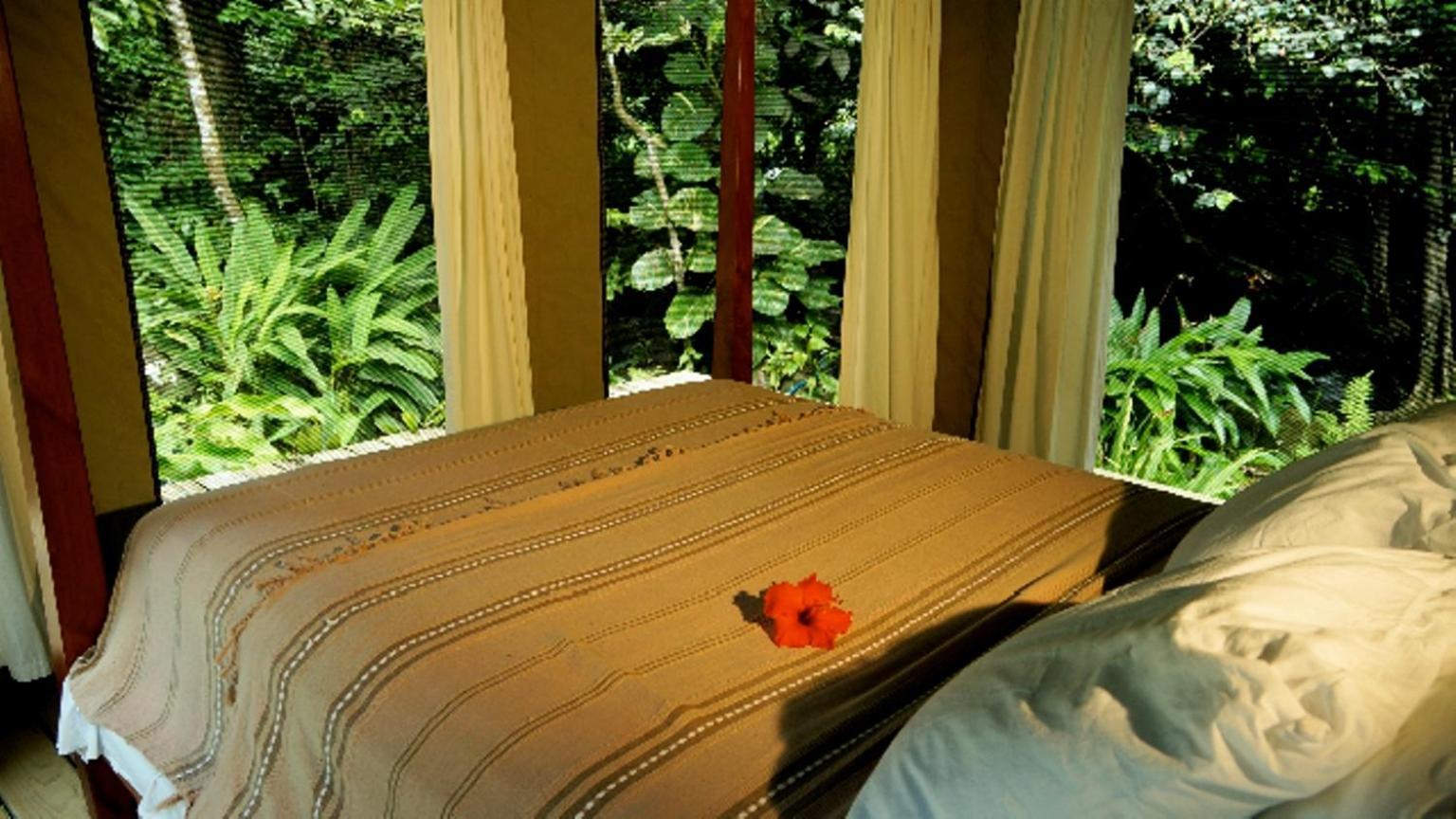 Citrus Creek Plantation Villa La Plaine Luaran gambar