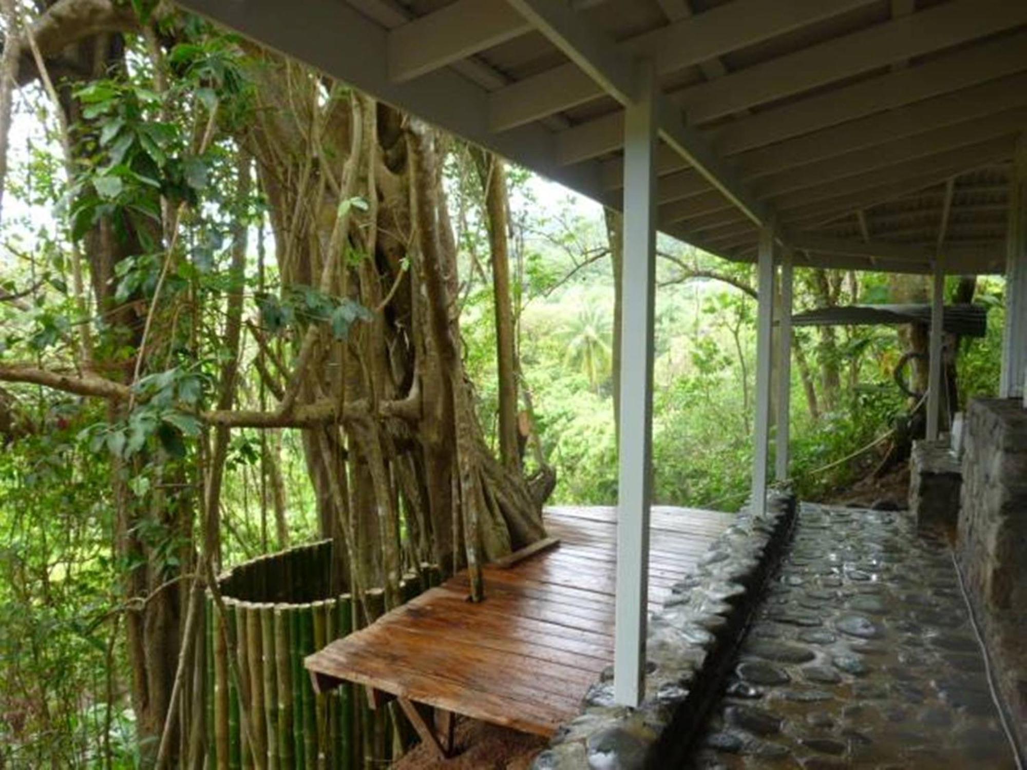Citrus Creek Plantation Villa La Plaine Luaran gambar