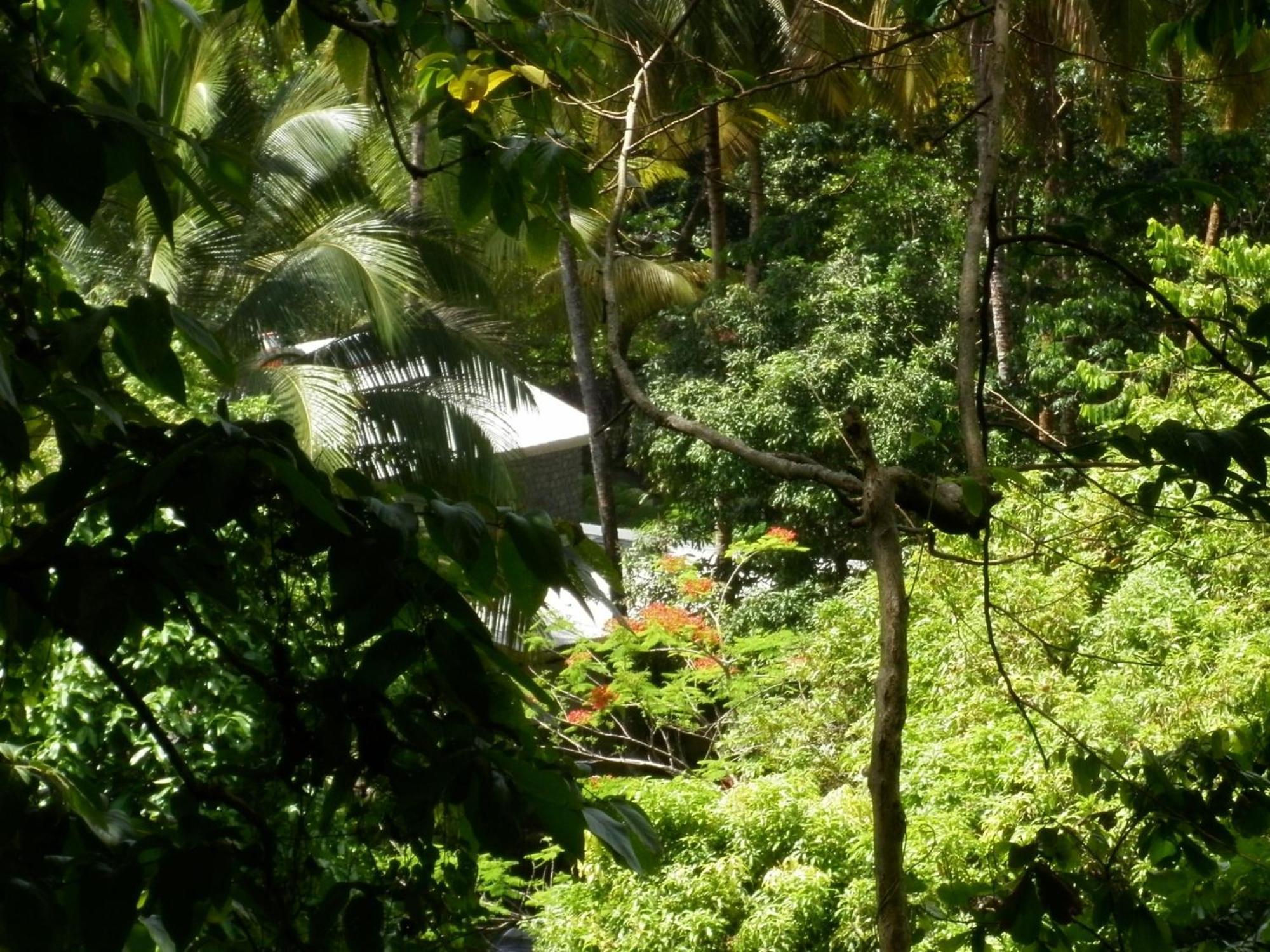 Citrus Creek Plantation Villa La Plaine Luaran gambar