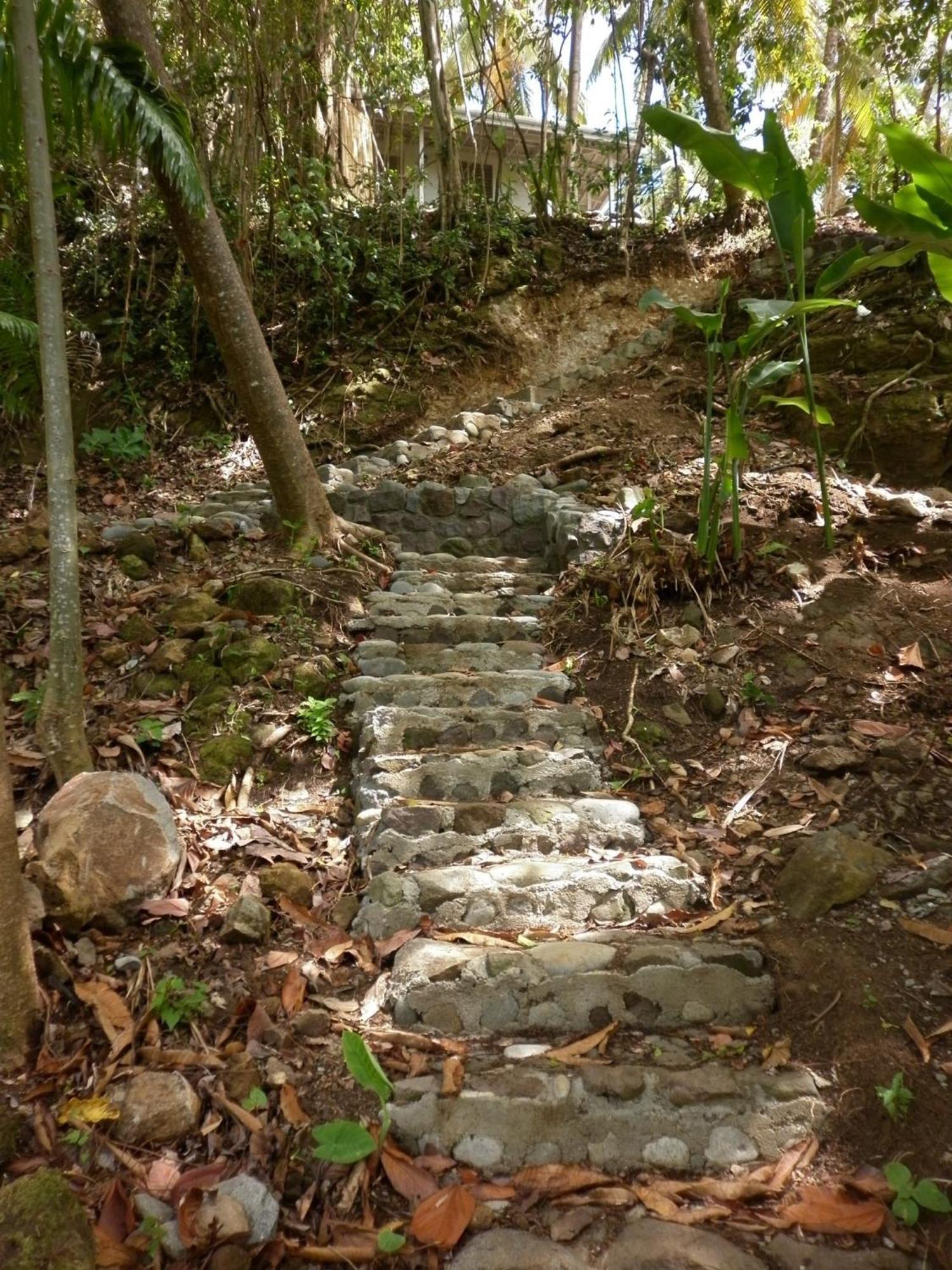 Citrus Creek Plantation Villa La Plaine Luaran gambar