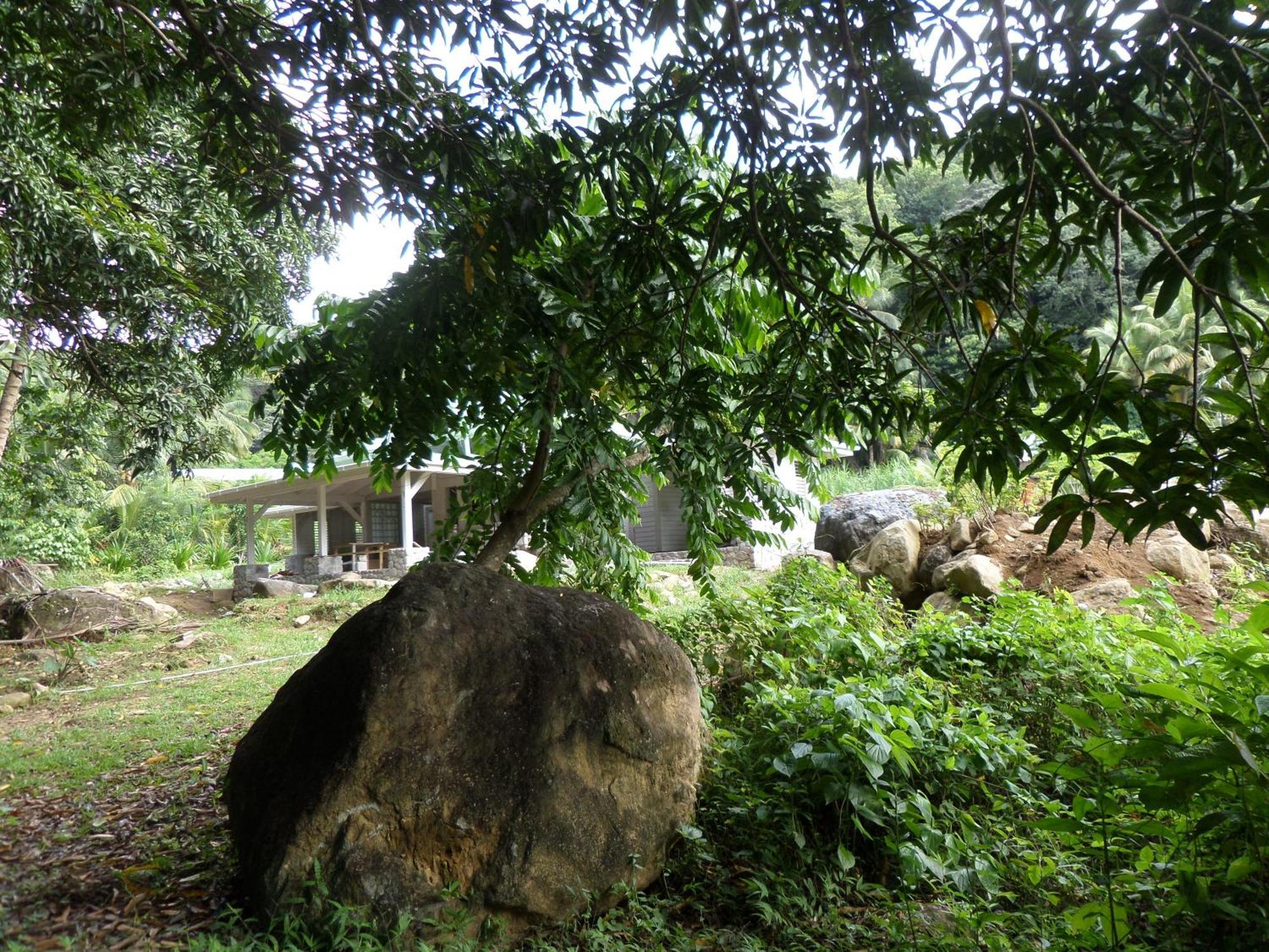 Citrus Creek Plantation Villa La Plaine Bilik gambar