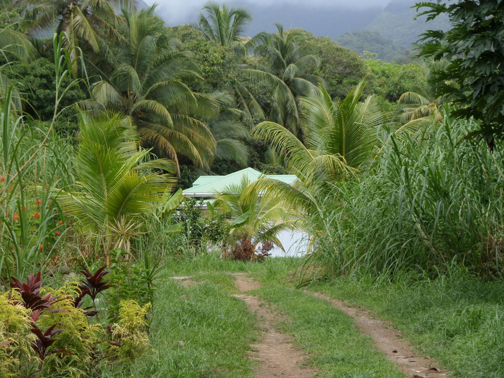 Citrus Creek Plantation Villa La Plaine Bilik gambar