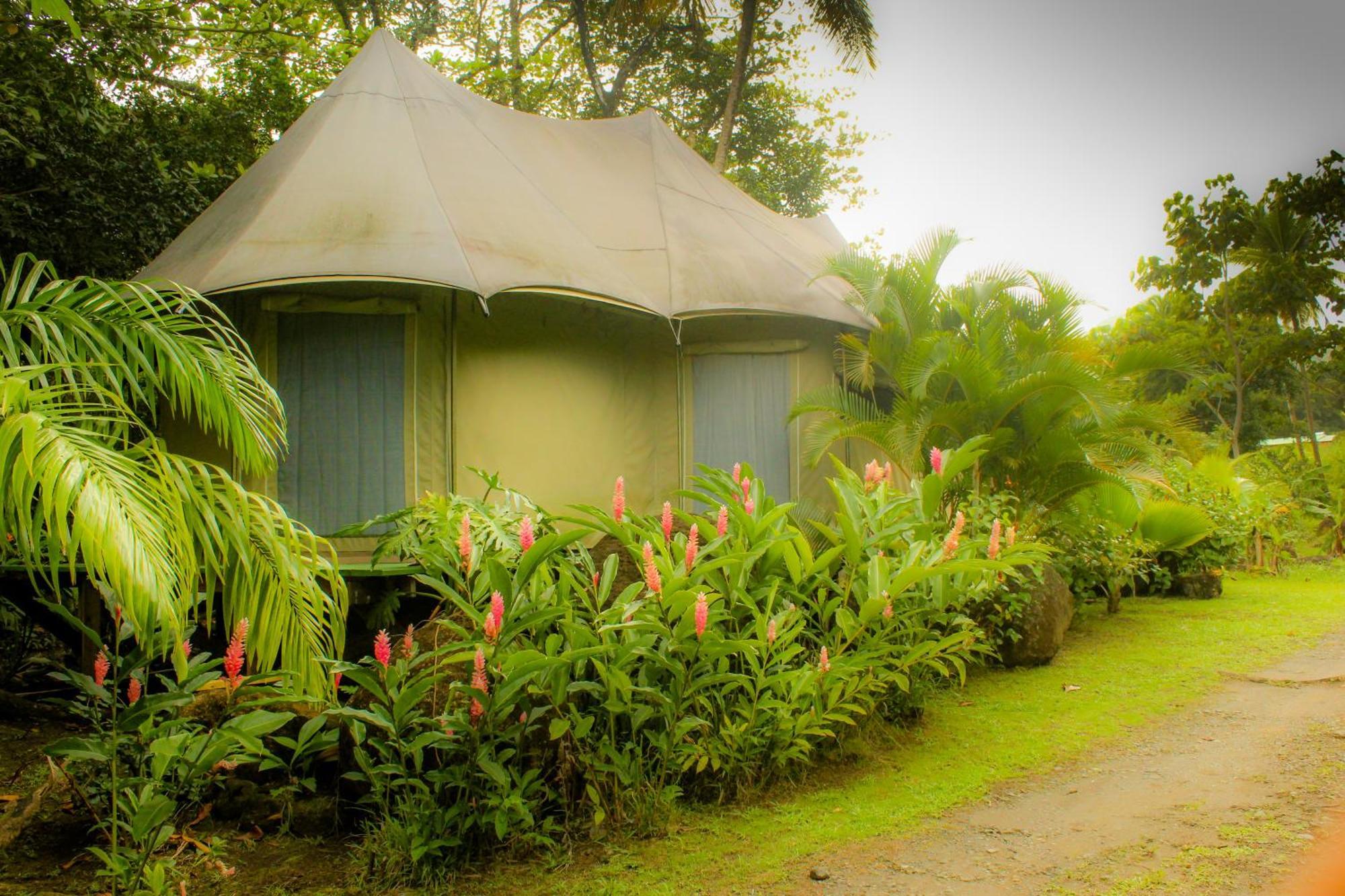 Citrus Creek Plantation Villa La Plaine Bilik gambar