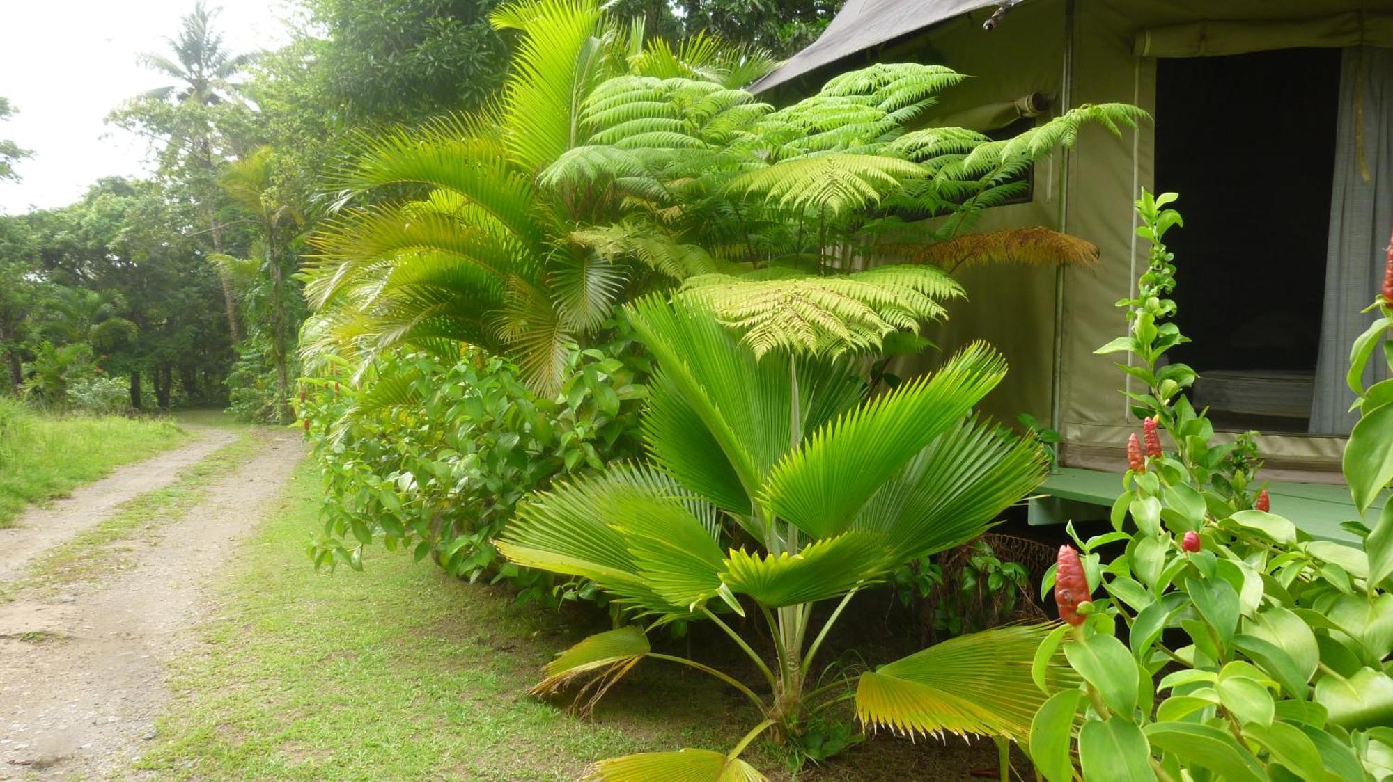 Citrus Creek Plantation Villa La Plaine Bilik gambar