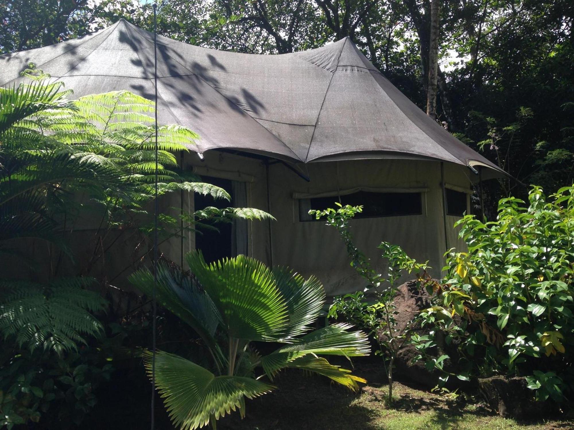 Citrus Creek Plantation Villa La Plaine Bilik gambar