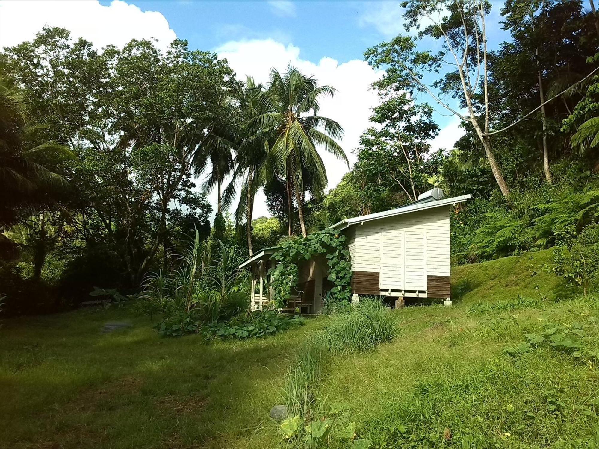 Citrus Creek Plantation Villa La Plaine Bilik gambar