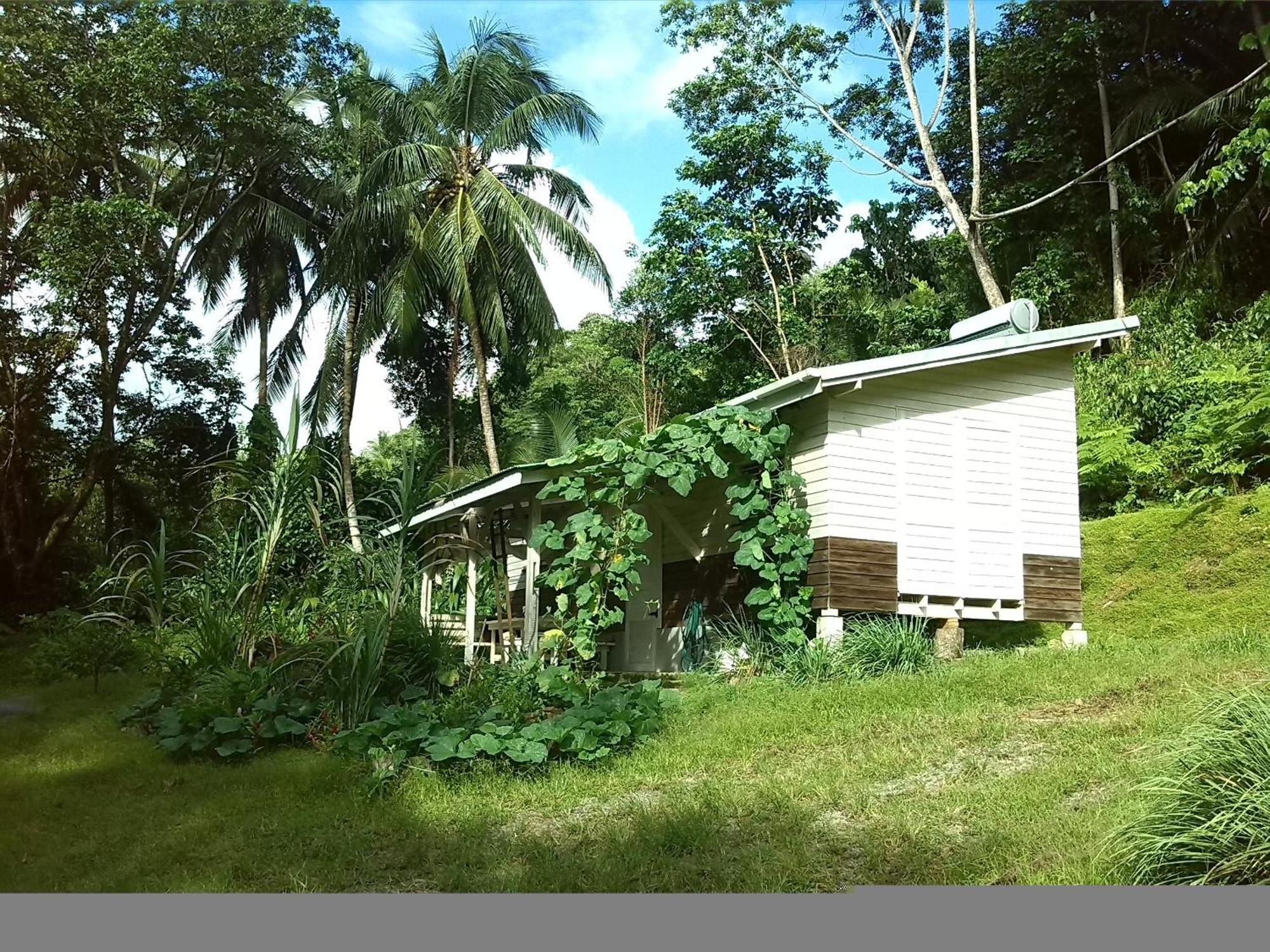 Citrus Creek Plantation Villa La Plaine Bilik gambar
