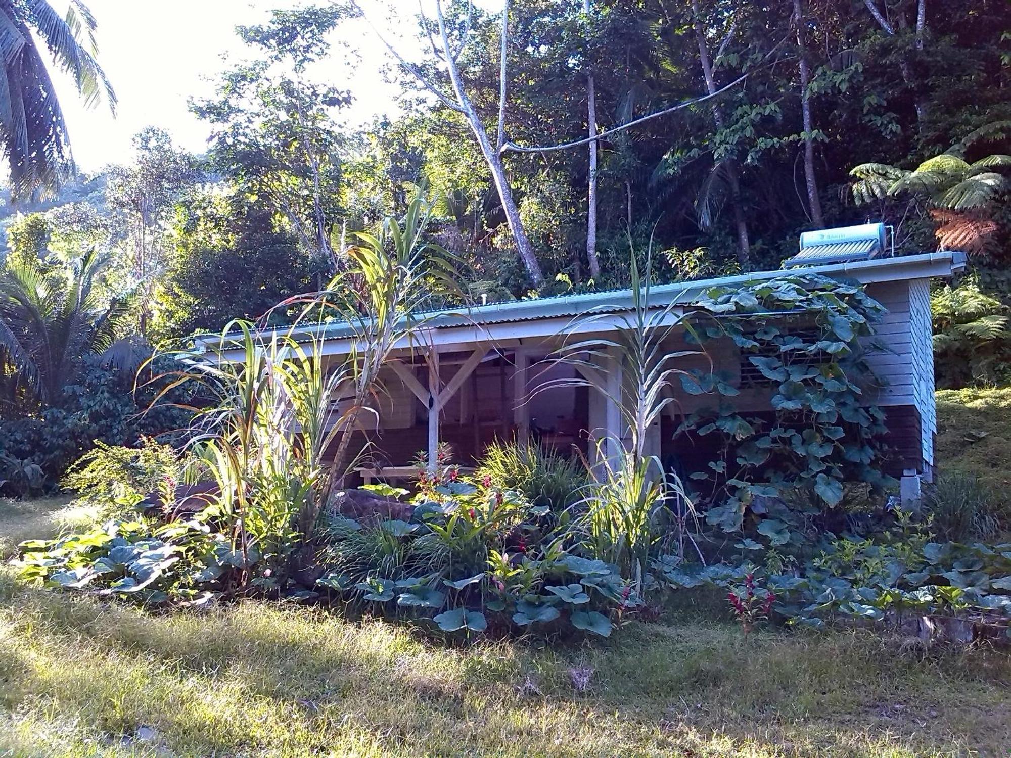 Citrus Creek Plantation Villa La Plaine Bilik gambar