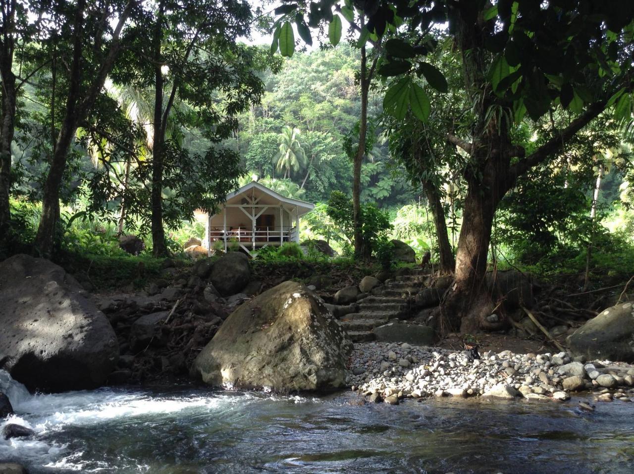 Citrus Creek Plantation Villa La Plaine Luaran gambar