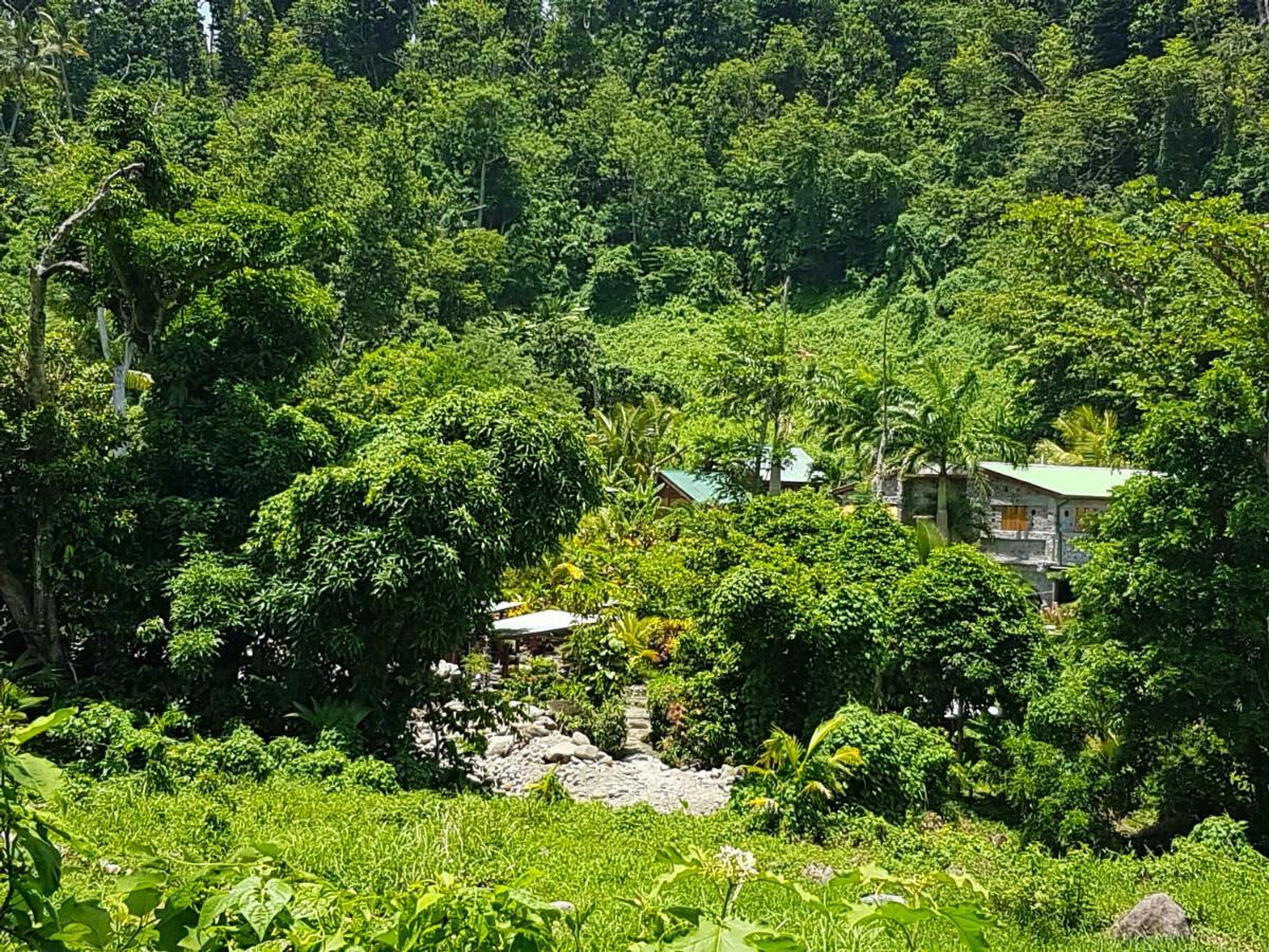 Citrus Creek Plantation Villa La Plaine Luaran gambar